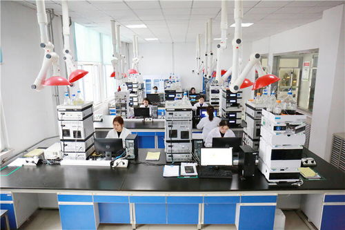 喜迎二十大 奮進新征程 壽光打造全產業鏈，以新材料技術研發勾勒高質量發展新版圖